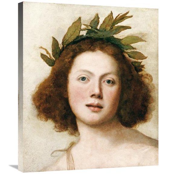 30 in. Head of Apollo Art Print - Girolamo Forabosco