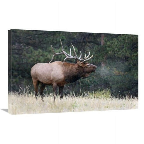 30 in. Light Snow Falling Art Print - Vic Schendel