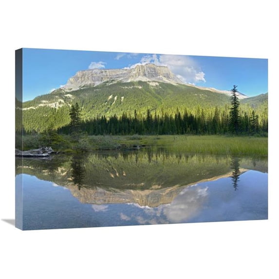 30 in. Mt Burgess Reflected in Emerald Lake, Yoho National Park, British Columbia, Canada Art Print - Tim Fitzharris