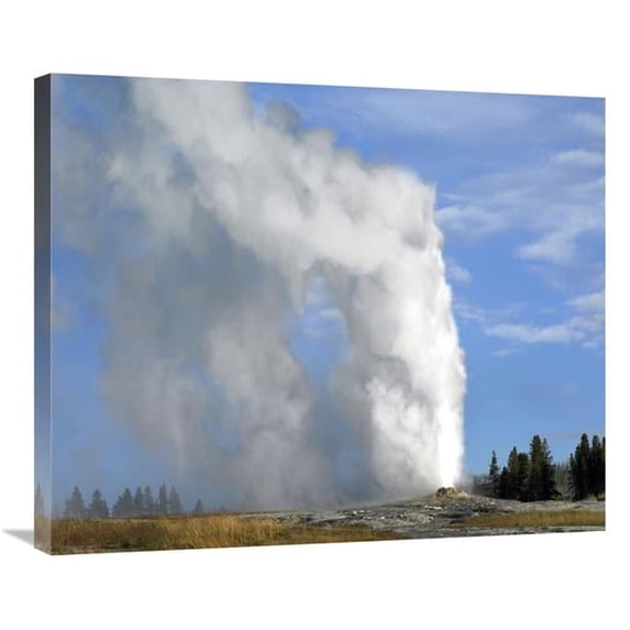 30 in. Old Faithful Geyser Spouting, Yellowstone National Park, Wyoming Art Print - Tim Fitzharris