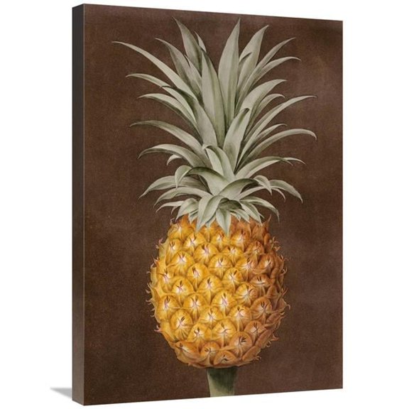 30 in. Pineapple Art Print - George Brookshaw