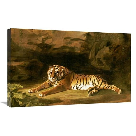 30 in. Portrait of the Royal Tiger Art Print - George Stubbs