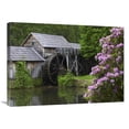 thumbnail image 1 of 30 in. Rhododendron Blossoming at Mabry Mill, Blue Ridge Parkway, Virginia Art Print - Tim Fitzharris, 1 of 1