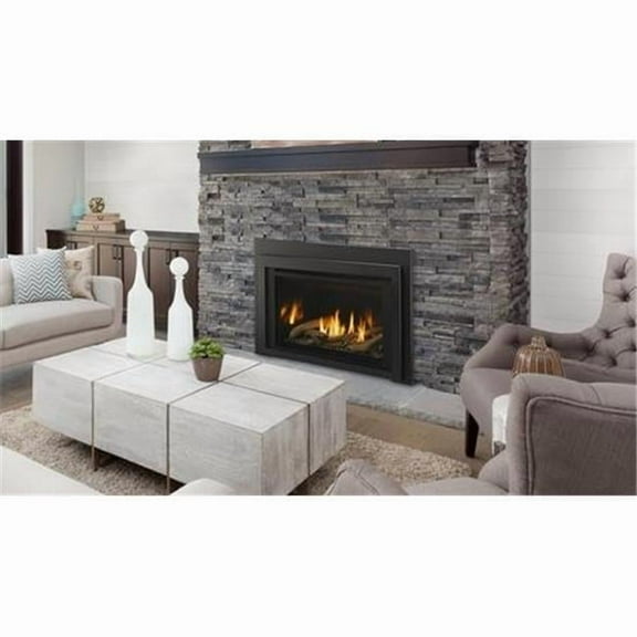 30 in. Ruby Medium Direct Vent LPG Gas Insert with Intellifire Touch Ignition System