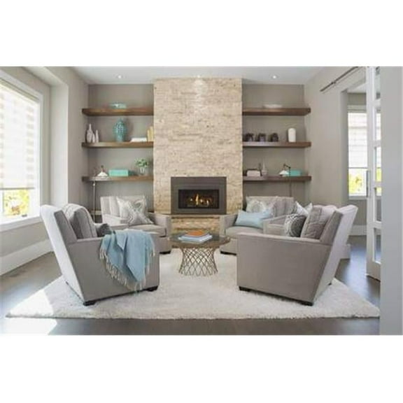 30 in. Ruby Medium Direct Vent Natural Gas Gas Insert with Intellifire Touch Ignition System