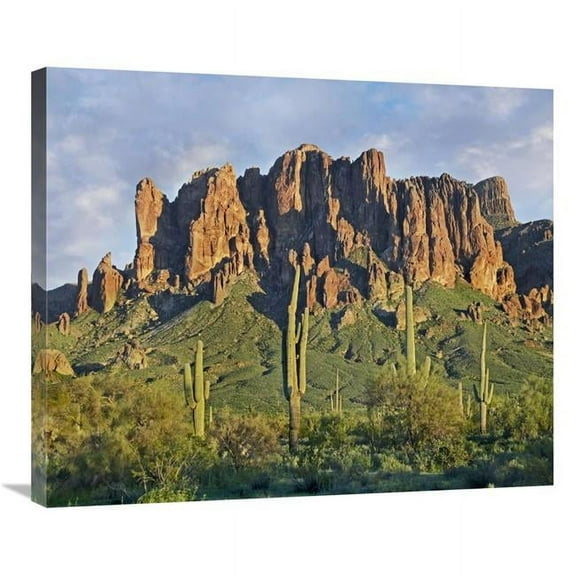 30 in. Saguaro Cacti & Superstition Mountains, Lost Dutchman State Park, Arizona Art Print - Tim Fitzharris