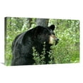 thumbnail image 1 of 30 in. Spring Time in Bear Country Art Print - Vic Schendel, 1 of 1