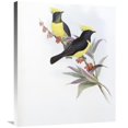 thumbnail image 1 of 30 in. Sultan Tit Art Print - John Gould, 1 of 1