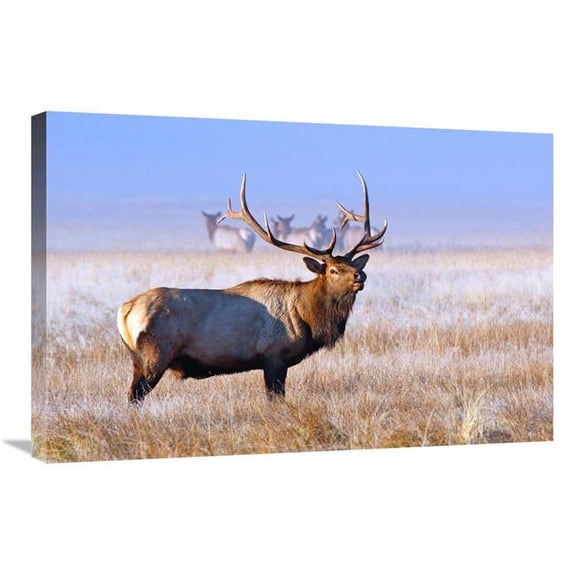 30 in. The Family Group Art Print - Vic Schendel