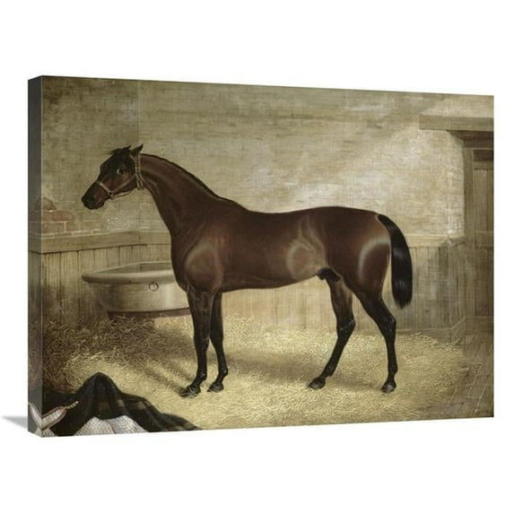 30 in. The Winner Art Print - John Frederick Herring