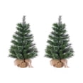 thumbnail image 1 of 30 in. Un Lit Pistol Pine Needle Tree Set of 2, 1 of 3