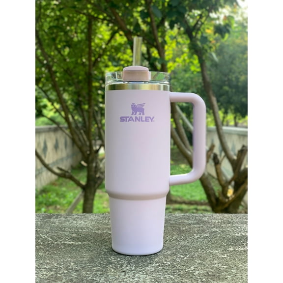 30 oz Stainless Steel Vacuum Insulated Tumbler with Lid and Straw