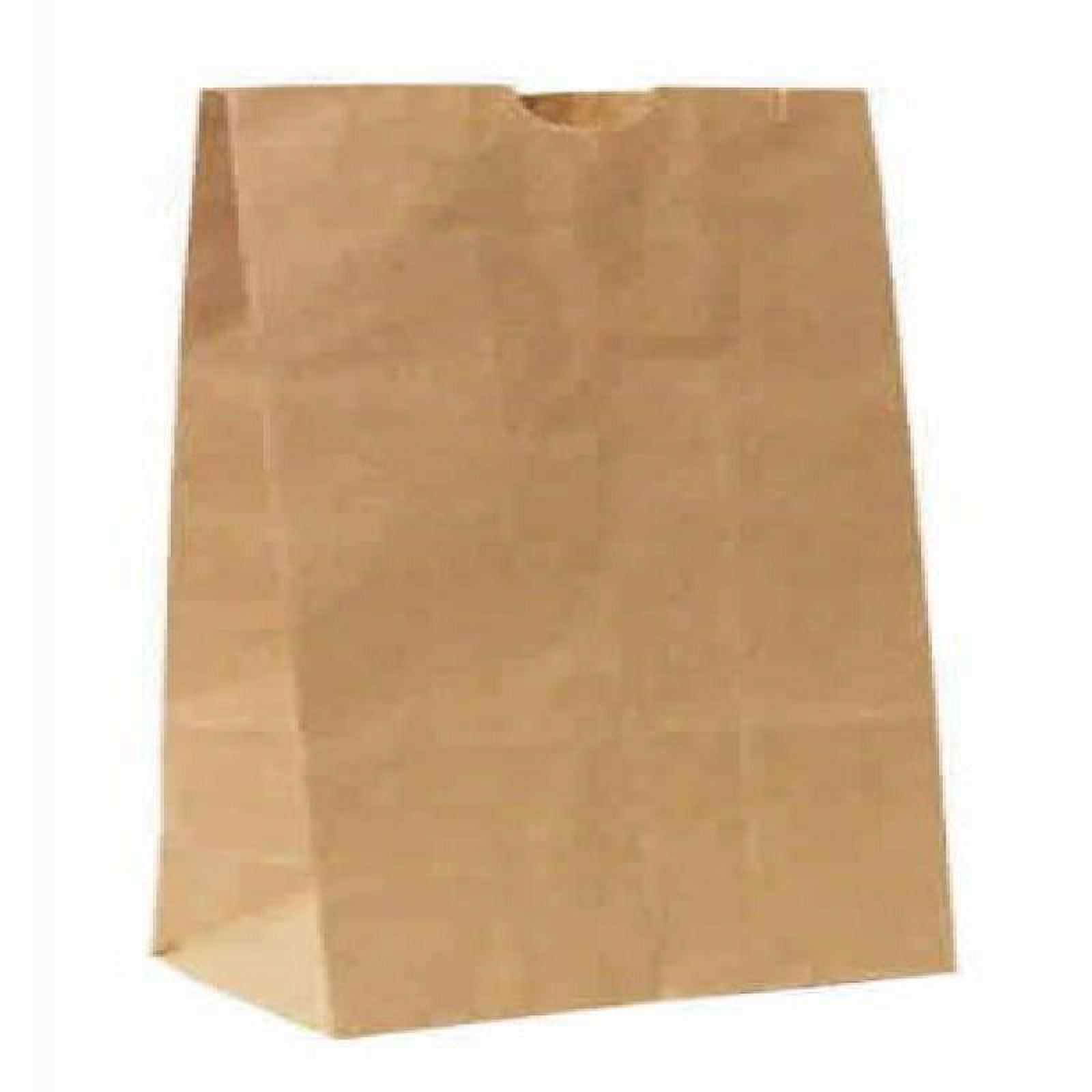 30pc Kraft Paper Lunch Bags
