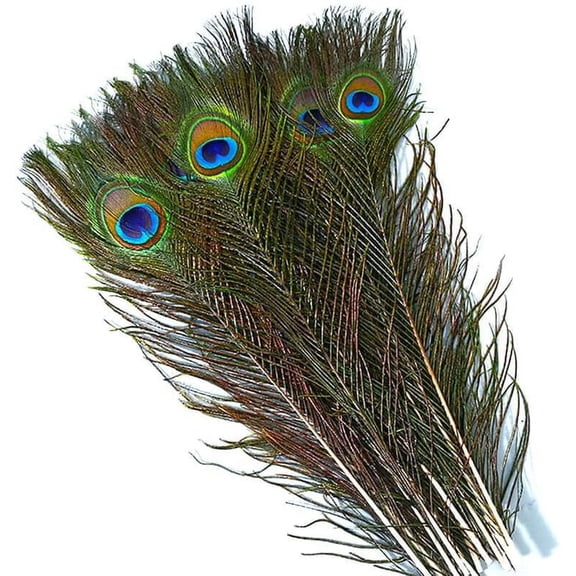 30 pcs Peacock Feathers in Bulk 16-18inch(40-45 cm) Bulk for DIY Craft, Wedding, Halloween Decoration