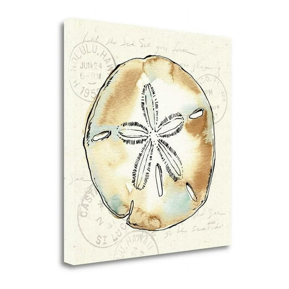 30" x 30" Coastal Breeze VI By Anne Tavoletti Print on Canvas Fabric Multi-Color