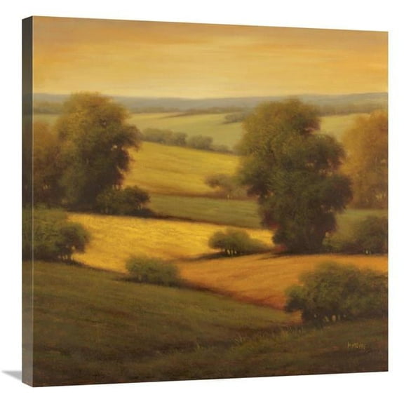 30 x 30 in. Amber Outlook II Art Print - Pierre