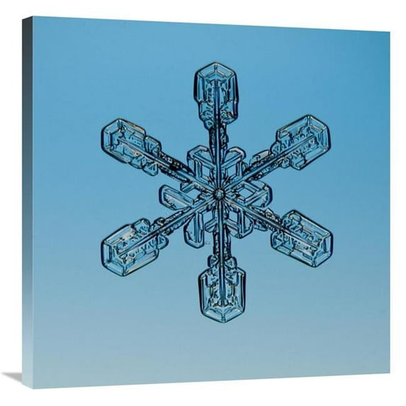 30 x 30 in. Snowflake Seen Through Microscope Art Print - Steve Gettle