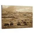 thumbnail image 1 of 30 x 40 in. American Bison Herd Grazing on Praire, Theodore Roosevelt NP, North Dakota - Sepia Art Print - Tim Fitzharris, 1 of 1