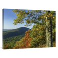 thumbnail image 1 of 30 x 40 in. Broadleaf Forest in Fall Colors As Seen From Doyles River Overlook, Shenandoah National Park, Virginia Art Print - Tim Fitzharris, 1 of 1