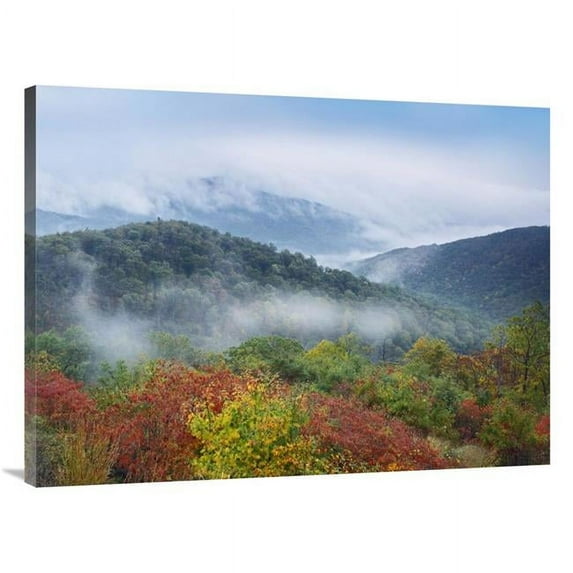 30 x 40 in. Broadleaf Forest in Fall Colors, Skyline Drive, Shenandoah National Park, Virginia Art Print - Tim Fitzharris