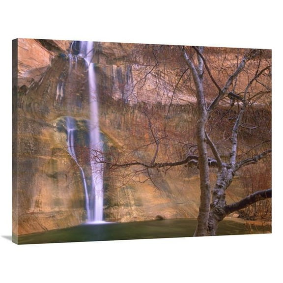 30 x 40 in. Calf Creek Falls Cascading Down Sandstone Cliff with Desert Varnish, Escalante National Monument, Utah Art Print - Tim Fitzharris
