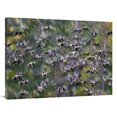 thumbnail image 1 of 30 x 40 in. Canada Goose Flock Flying, North America Art Print - Tim Fitzharris, 1 of 1