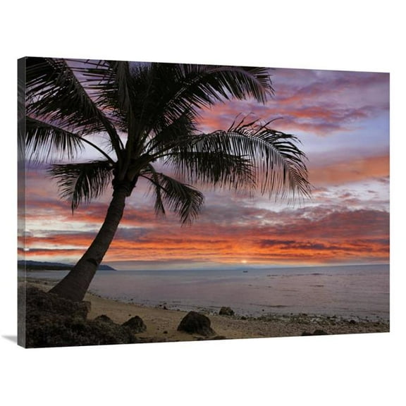 30 x 40 in. Coconut Palm at Sunset Near Dimiao, Bohol Island, Philippines Art Print - Tim Fitzharris