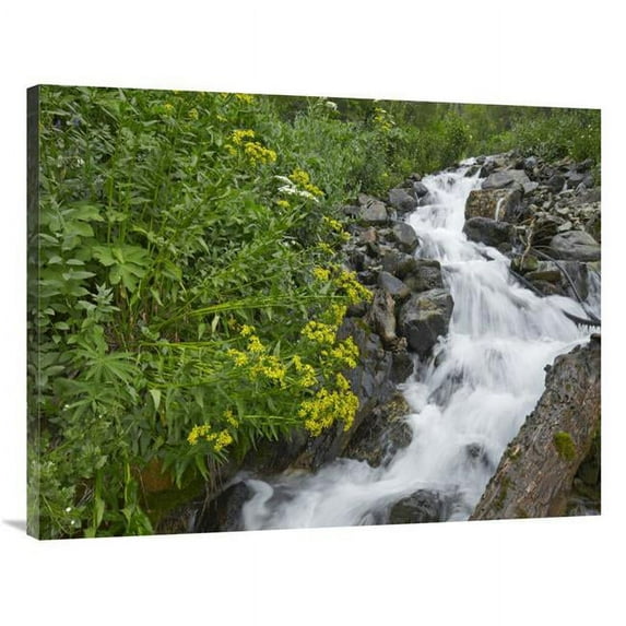 30 x 40 in. Creek Near Silverton, Colorado Art Print - Tim Fitzharris