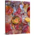 thumbnail image 1 of 30 x 40 in. Fallen Autumn Colored Aspen Leaves Frozen on the Ground Art Print - Tim Fitzharris, 1 of 1
