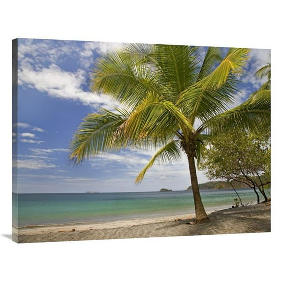30 x 40 in. Palm Trees Line Penca Beach, Costa Rica Art Print - Tim Fitzharris