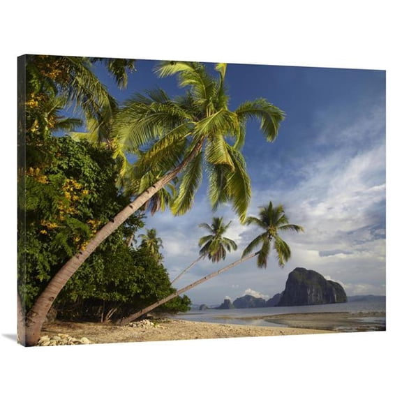 30 x 40 in. Palm Trees, Pinagbuyutan Island, Palawan, Philippines Art Print - Tim Fitzharris