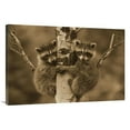 thumbnail image 1 of 30 x 40 in. Raccoon Two Babies Climbing Tree, North America - Sepia Art Print - Tim Fitzharris, 1 of 1