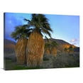 thumbnail image 1 of 30 x 40 in. Real Fan Palm Anza-Borrego Desert, California Art Print - Tim Fitzharris, 1 of 1