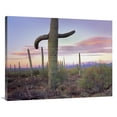 thumbnail image 1 of 30 x 40 in. Saguaro Cactus Field with Sierrita Mountains in the Background, Saguaro National Park, Arizona Art Print - Tim Fitzharris, 1 of 1