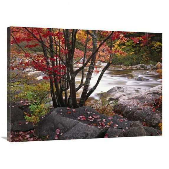30 x 40 in. The Swift River, White Mountains National Forest, New Hampshire Art Print - Tim Fitzharris