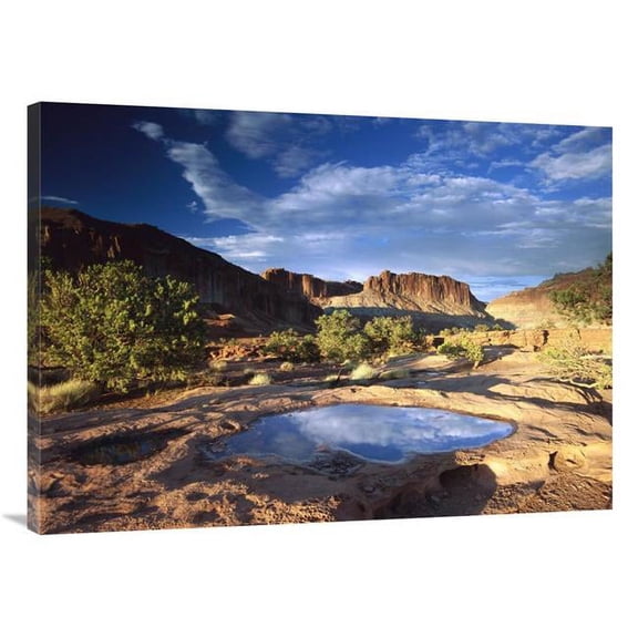 30 x 40 in. Water Pothole at Panorama Point, Capitol Reef National Park, Utah Art Print - Tim Fitzharris