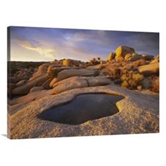 30 x 40 in. Water That Has Collected in Boulder, Joshua Tree National Park, California Art Print - Tim Fitzharris