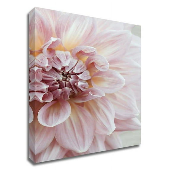 30" x 45" Blush Pink Dahlia by Brooke T. Ryan - Wall Art Print on Canvas Fabric