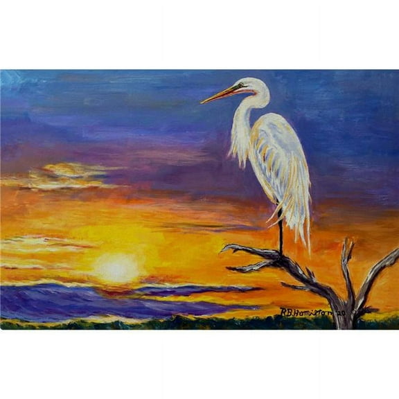 30 x 50 in. Egret Sunset Door Mat