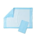 thumbnail image 1 of 300 17X24 Disposable Embossed Underpads Litter Box Puppy Training Procedure Pads, 1 of 1
