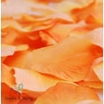 thumbnail image 1 of 300/600/1200/1800/2400PCS Silk Rose Petals Wedding, Ceremony, Party, Craft, Table Floral Confetti, 1 of 2