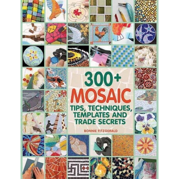 Pre-Owned 300+ Mosaic Tips, Techniques, Templates and Trade Secrets (Paperback)