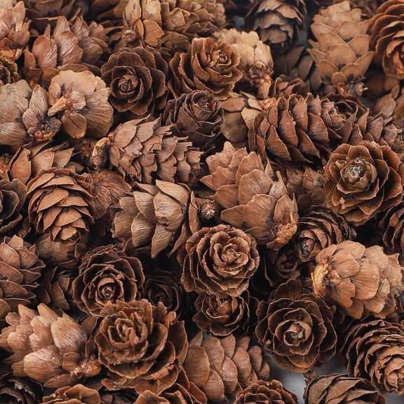 300 PCS Natural Wood Mini Pine Cones for Christmas, Autumn, DIY Crafts and Home Decor