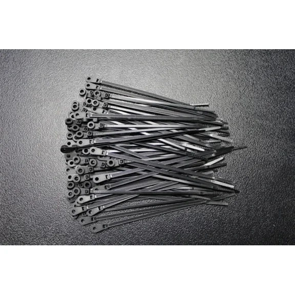 300 Pack 6 Inch Mounting Hole Zip Ties Nylon Black Nail Screw Wire Cable Bmct6