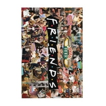 300 Piece Friends Tv Show Jigsaw Puzzle for Adults Leisure Gift for Birthday Party Stress-Free Starter Puzzle for Adults Beginners