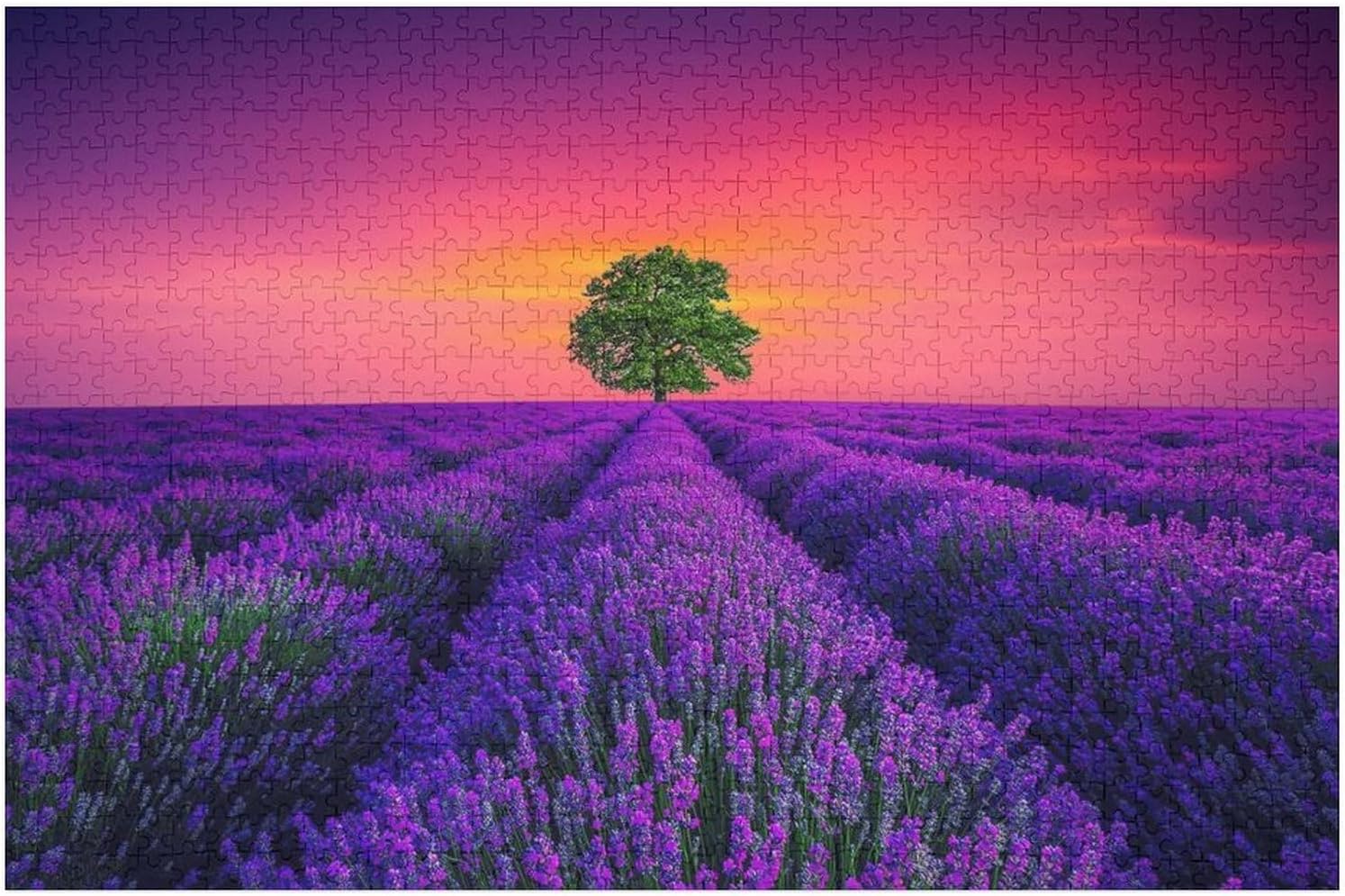 300 Piece Jigsaw Puzzles for Adults Colourful Spices Puzzle for Adults