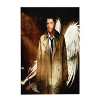 300 Piece Supernatural Jigsaw Puzzle for Adults Leisure Gift for Birthday Party Stress-Free Starter Puzzle for Adults Beginners