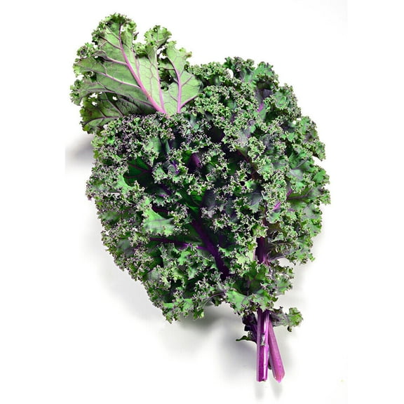 300+ Red Kale Seeds | Non-GMO | Heirloom Garden Seeds