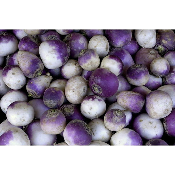 300+ Rutabaga Seeds for Planting - Garden Vegetable Seeds
