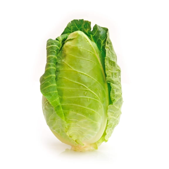 300 Seeds CHARLESTON WAKEFIELD CABBAGE Heirloom Cone Brassica Oleracea Vegetable Seeds